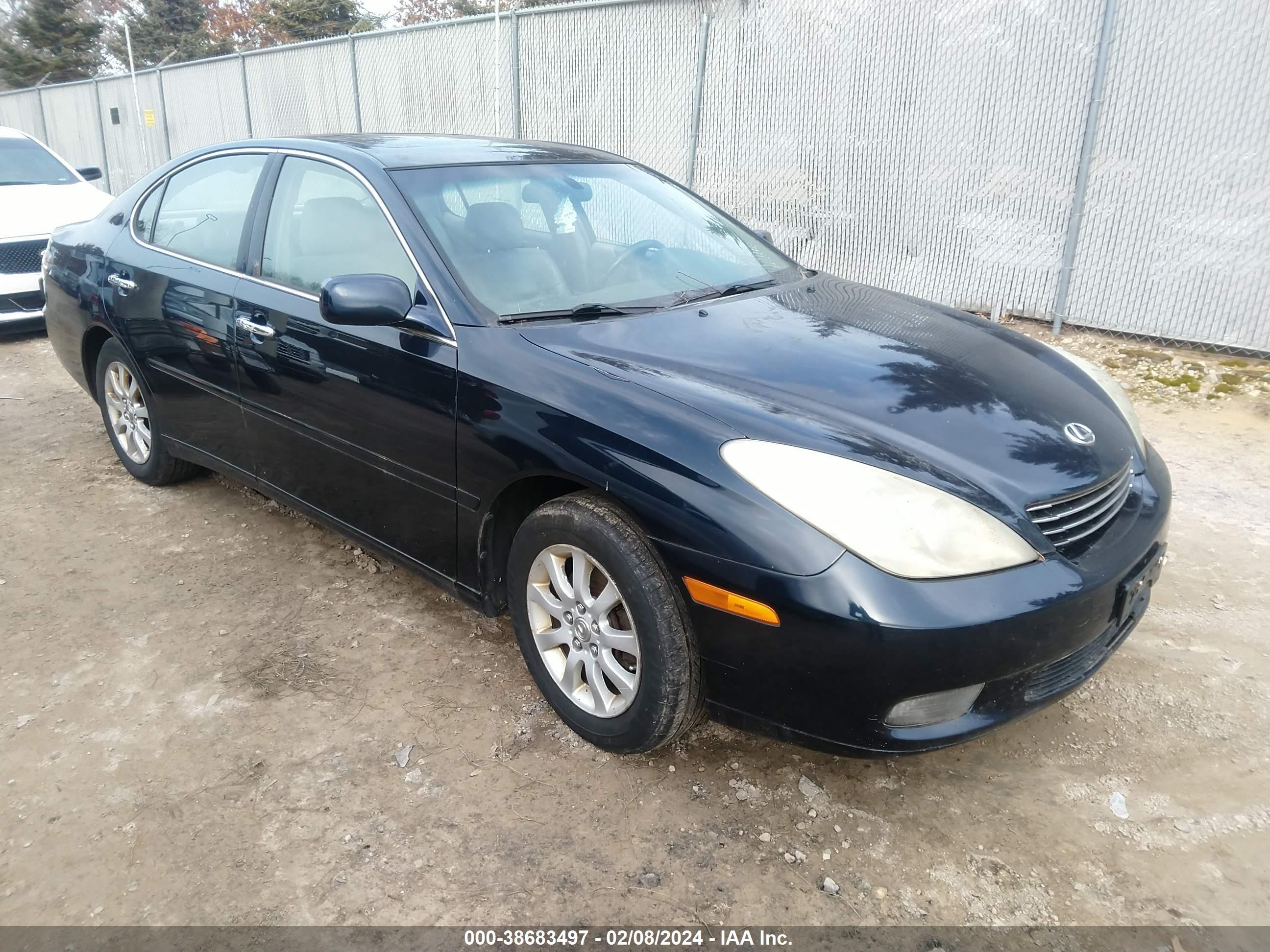 LEXUS ES 2004 jthba30g245003753