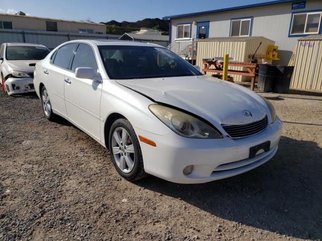 LEXUS ES 330 2005 jthba30g255056051