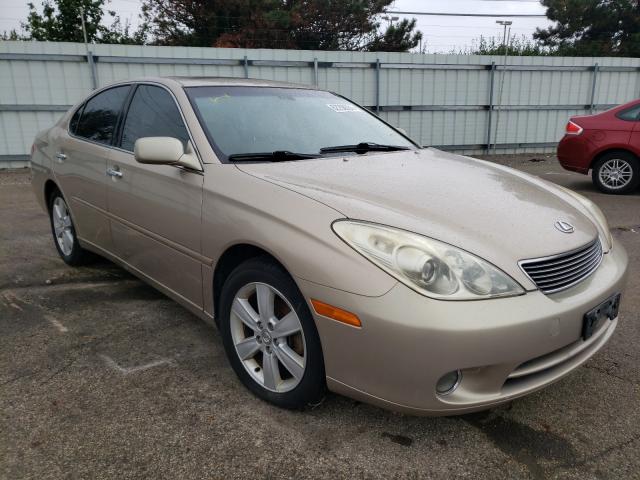 LEXUS ES 330 2005 jthba30g255091754