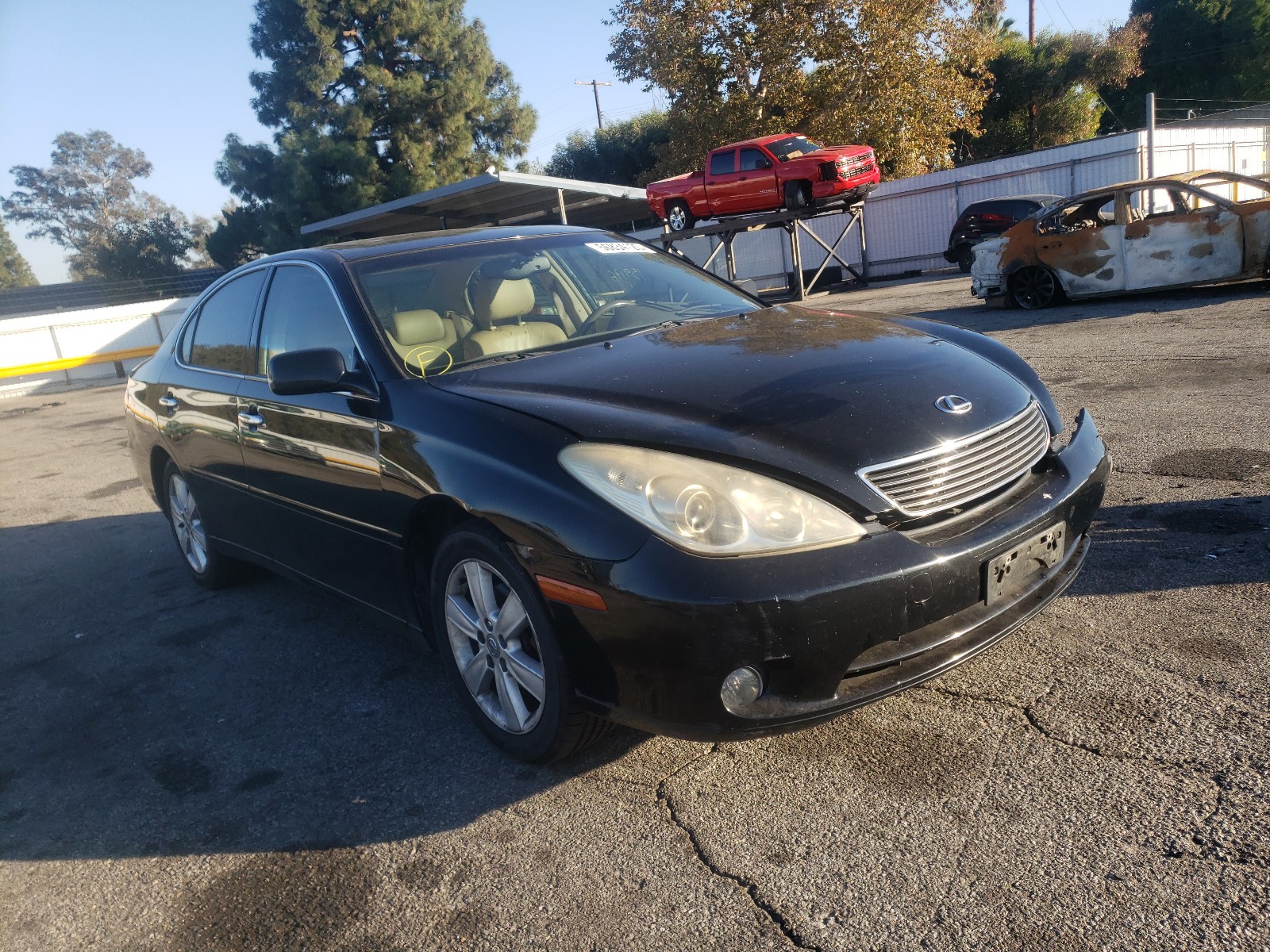 LEXUS ES 330 2005 jthba30g255092662