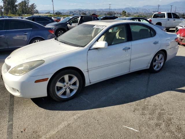 LEXUS ES330 2005 jthba30g255096694