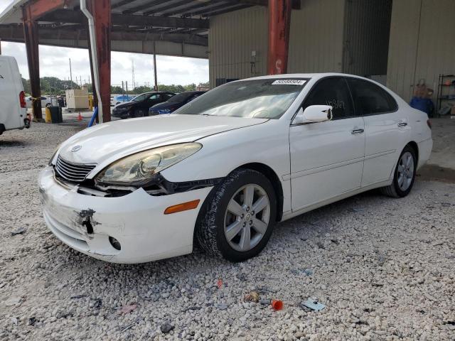 LEXUS ES330 2005 jthba30g255096923