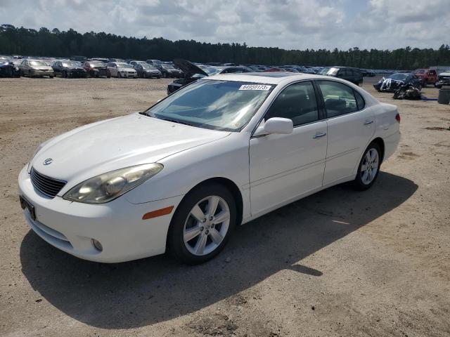 LEXUS ES 330 2005 jthba30g255130522