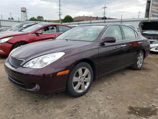 LEXUS ES330 2006 jthba30g265161707