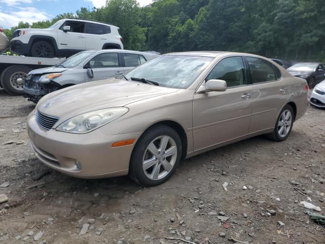 LEXUS ES330 2006 jthba30g265170245