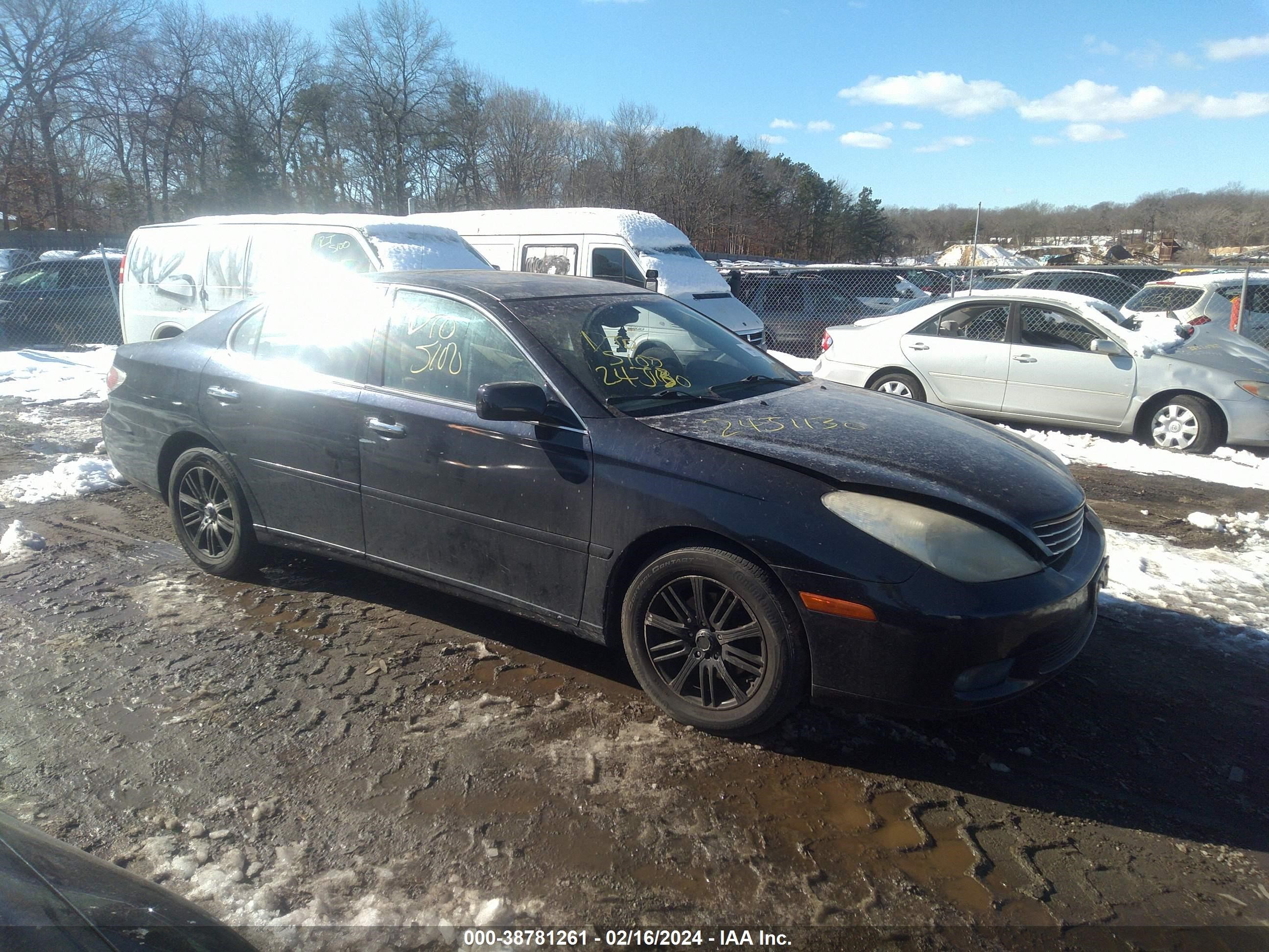 LEXUS ES 2004 jthba30g345037250