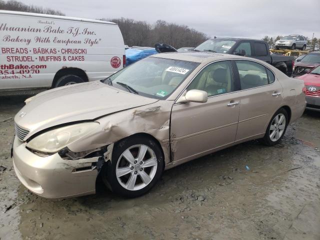 LEXUS ES330 2006 jthba30g365146861