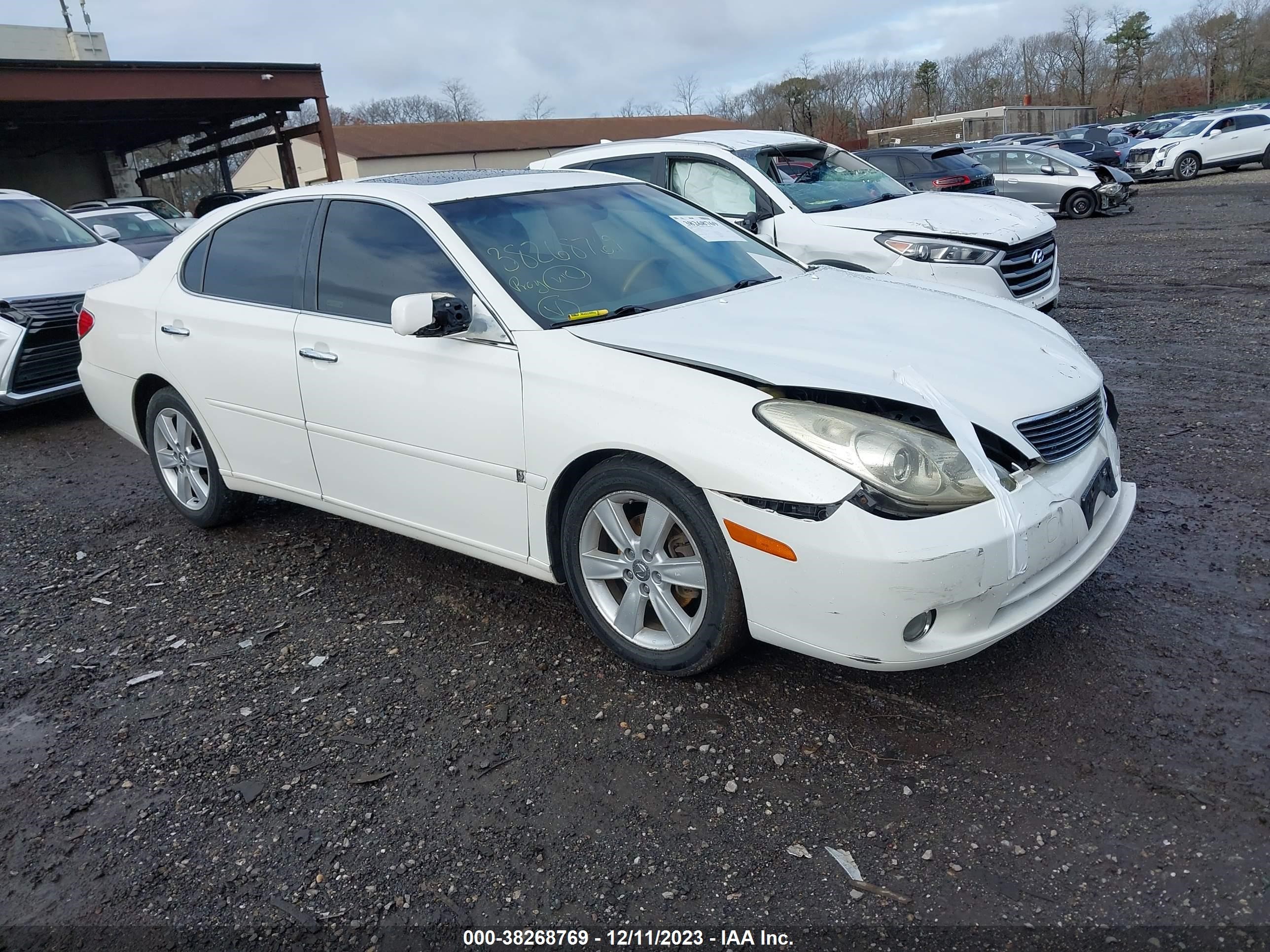 LEXUS ES 2006 jthba30g365156841