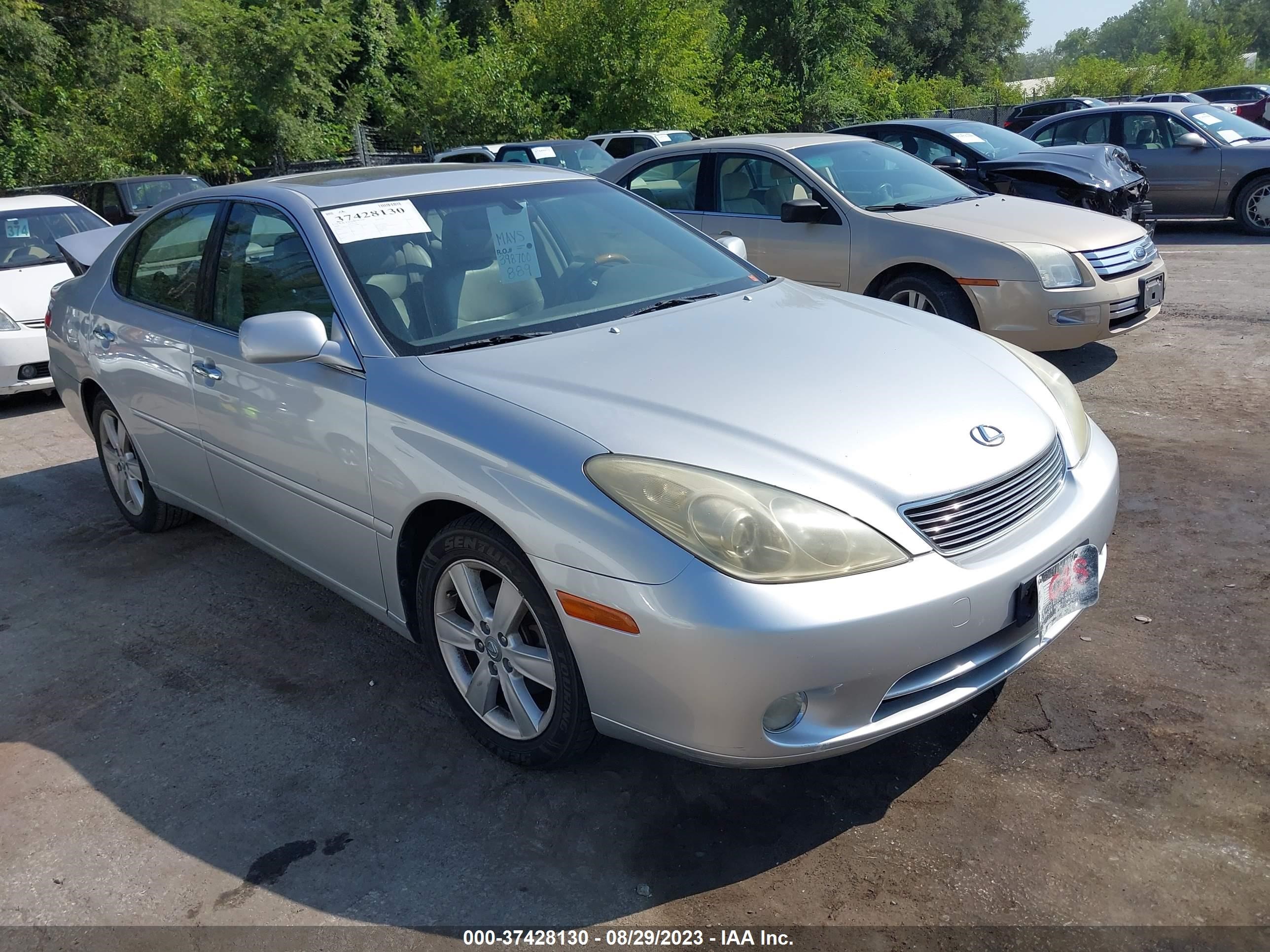 LEXUS ES 2006 jthba30g365157889