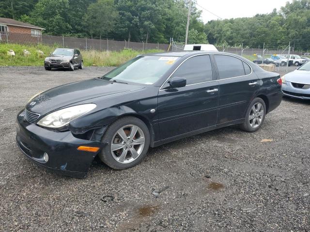 LEXUS ES 330 2006 jthba30g365169251