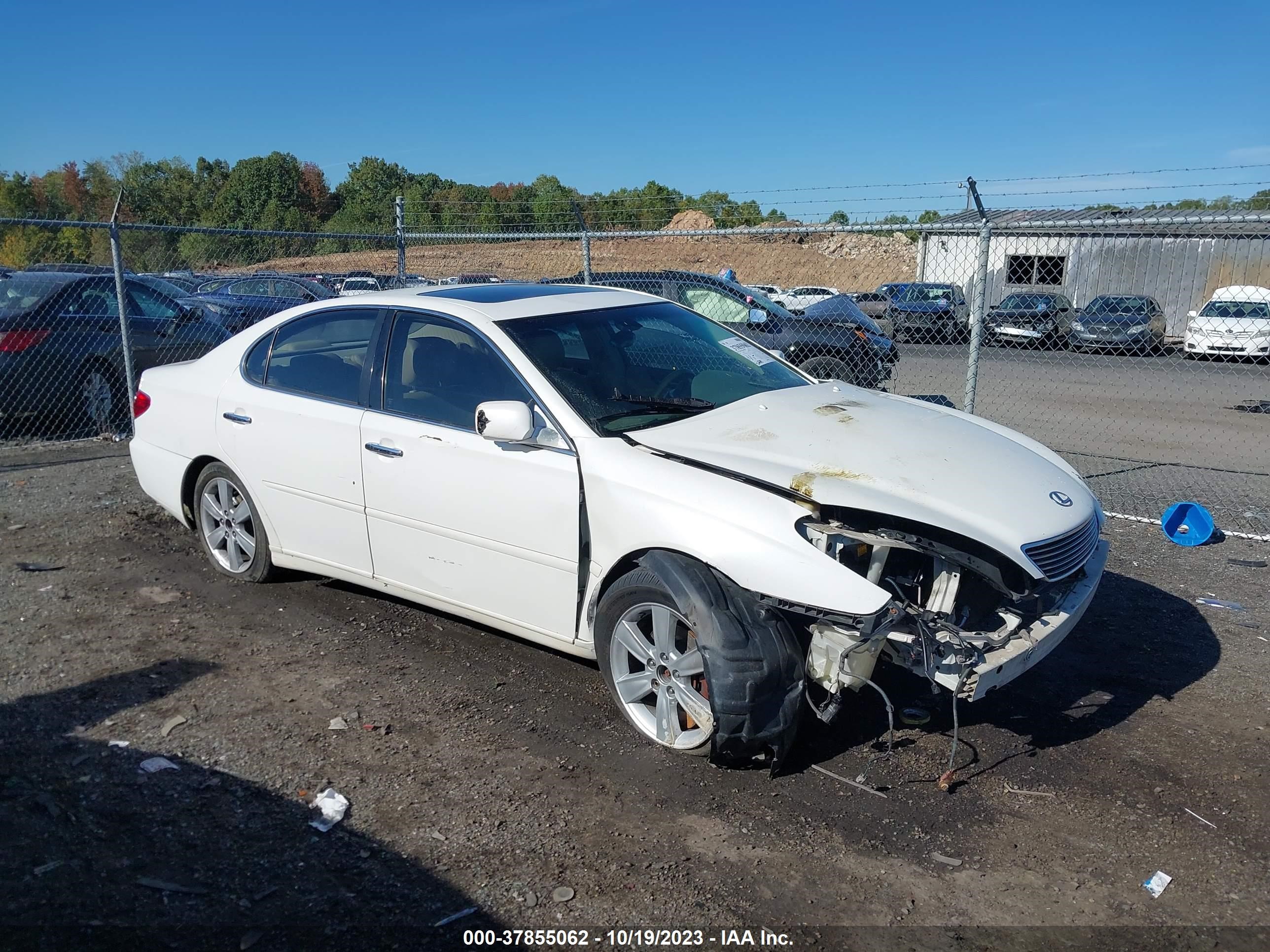 LEXUS ES 2006 jthba30g465145301