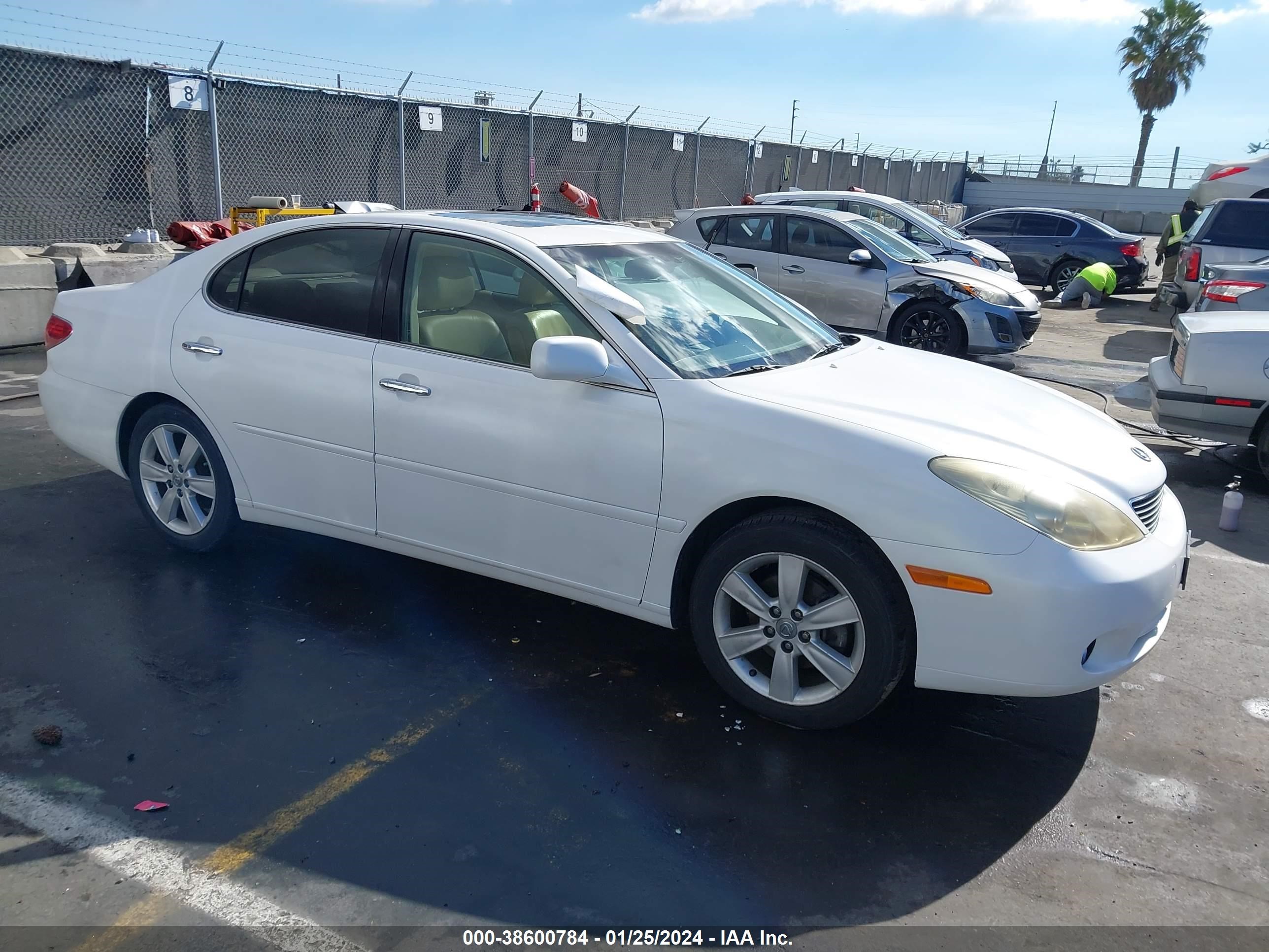 LEXUS ES 2006 jthba30g465158405