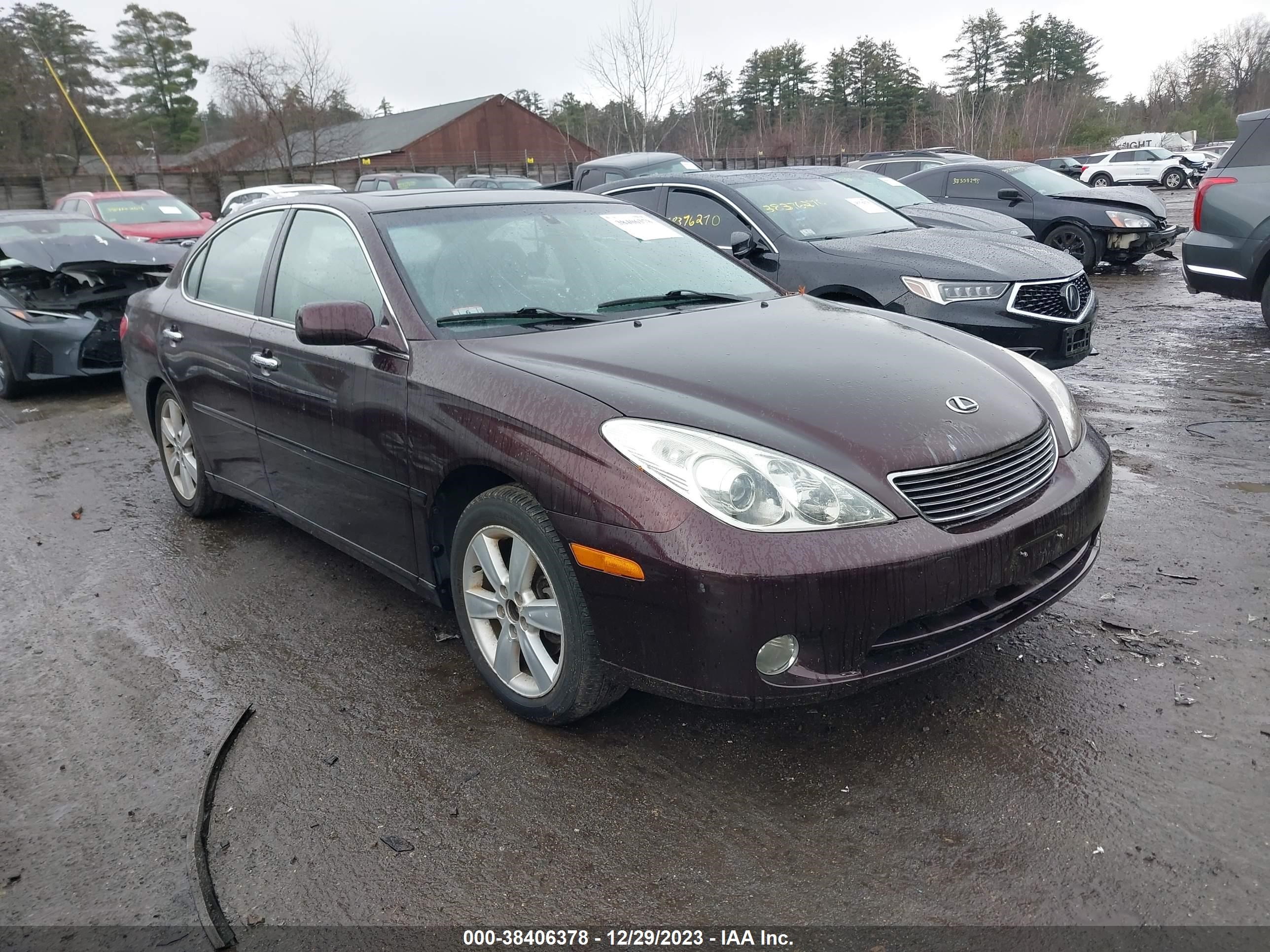 LEXUS ES 2006 jthba30g465165287