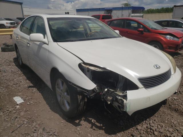 LEXUS ES 330 2006 jthba30g465175916