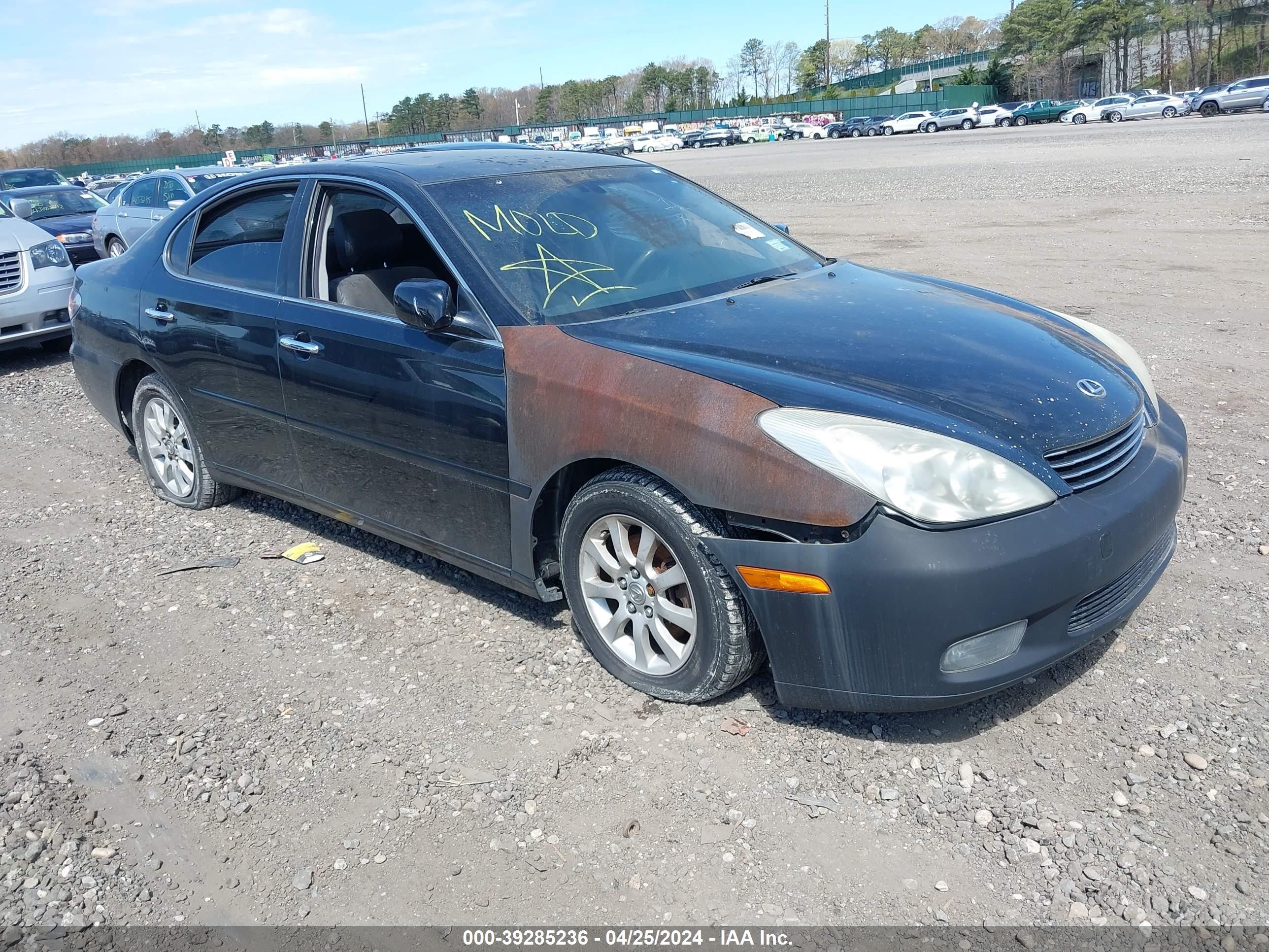 LEXUS ES 2004 jthba30g545020885