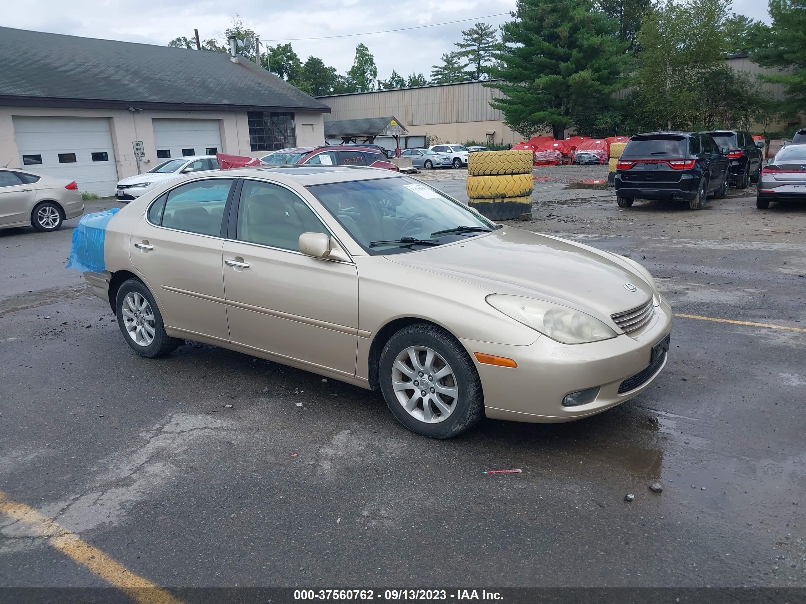 LEXUS ES 2004 jthba30g545022314