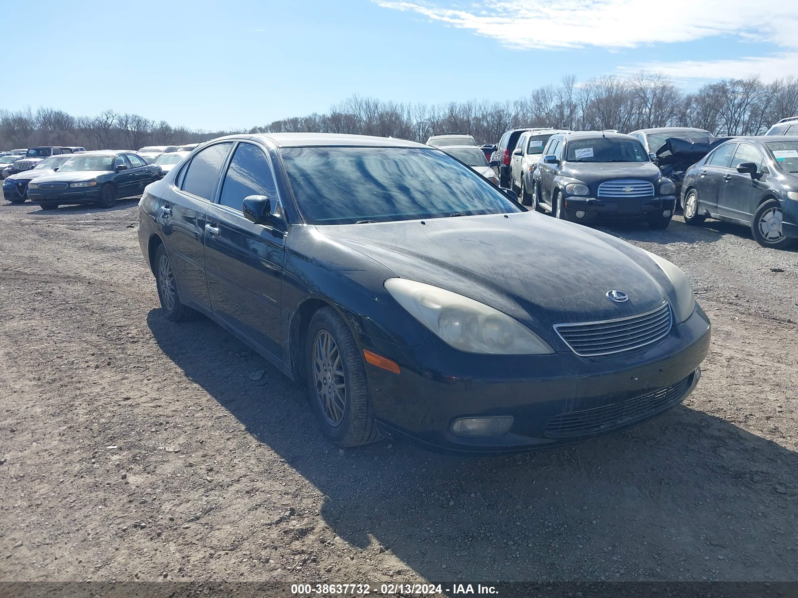 LEXUS ES 2004 jthba30g545036925