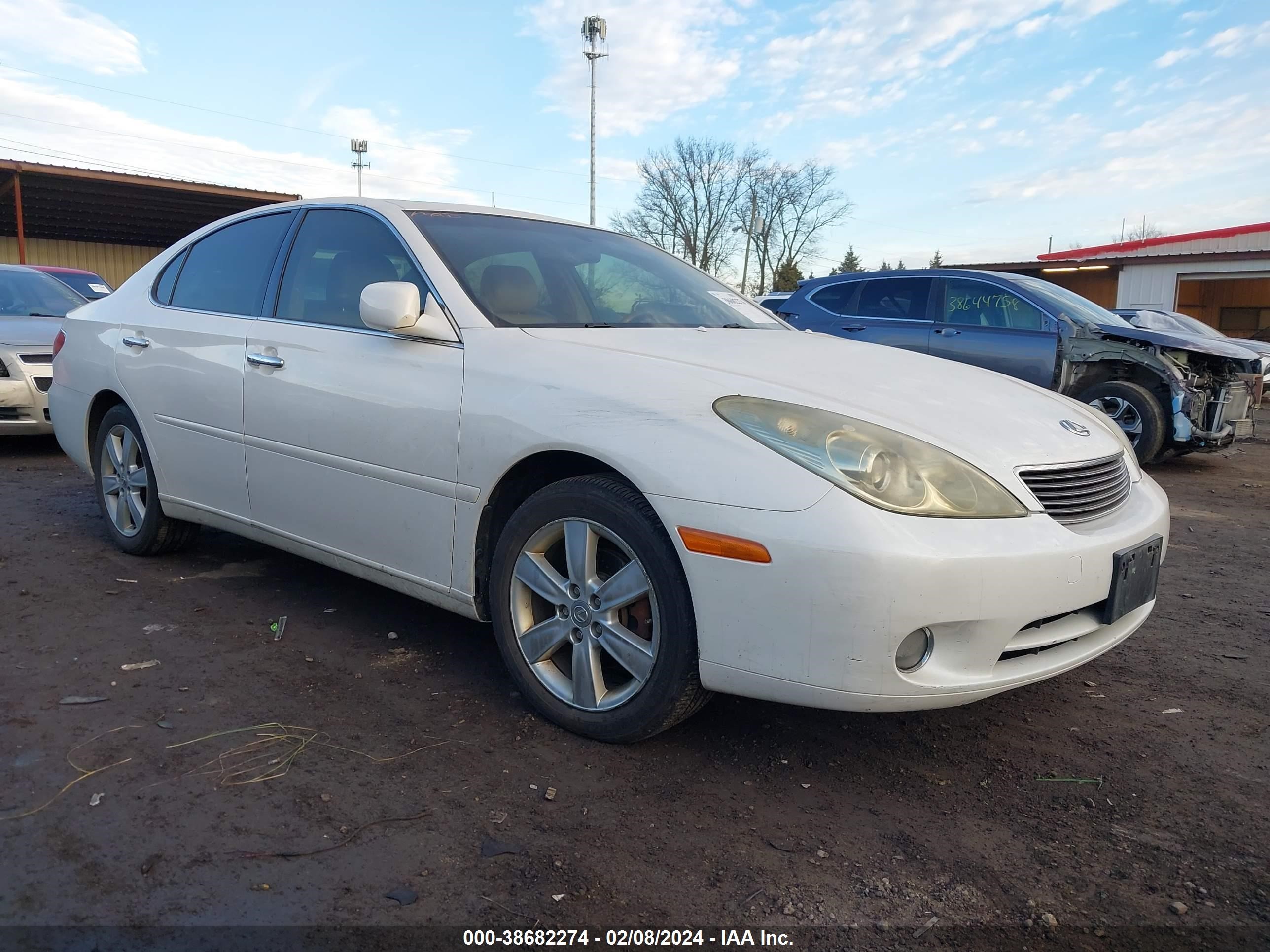 LEXUS ES 2005 jthba30g555077282