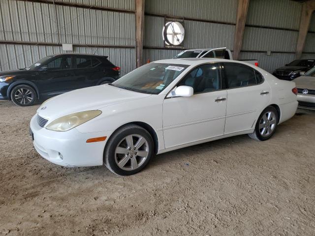 LEXUS ES 330 2005 jthba30g555087486