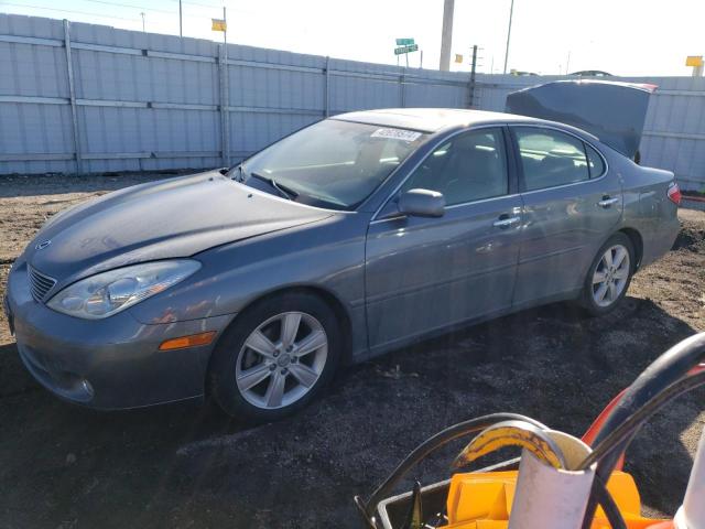 LEXUS ES330 2005 jthba30g555107848