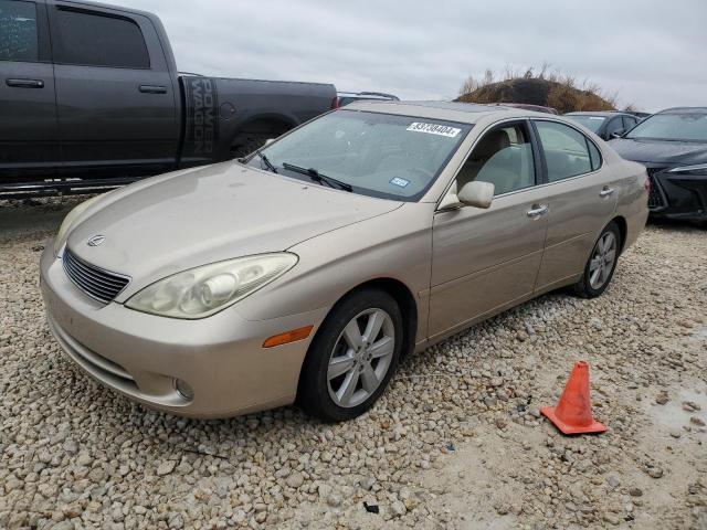 LEXUS ES 330 2005 jthba30g555110443