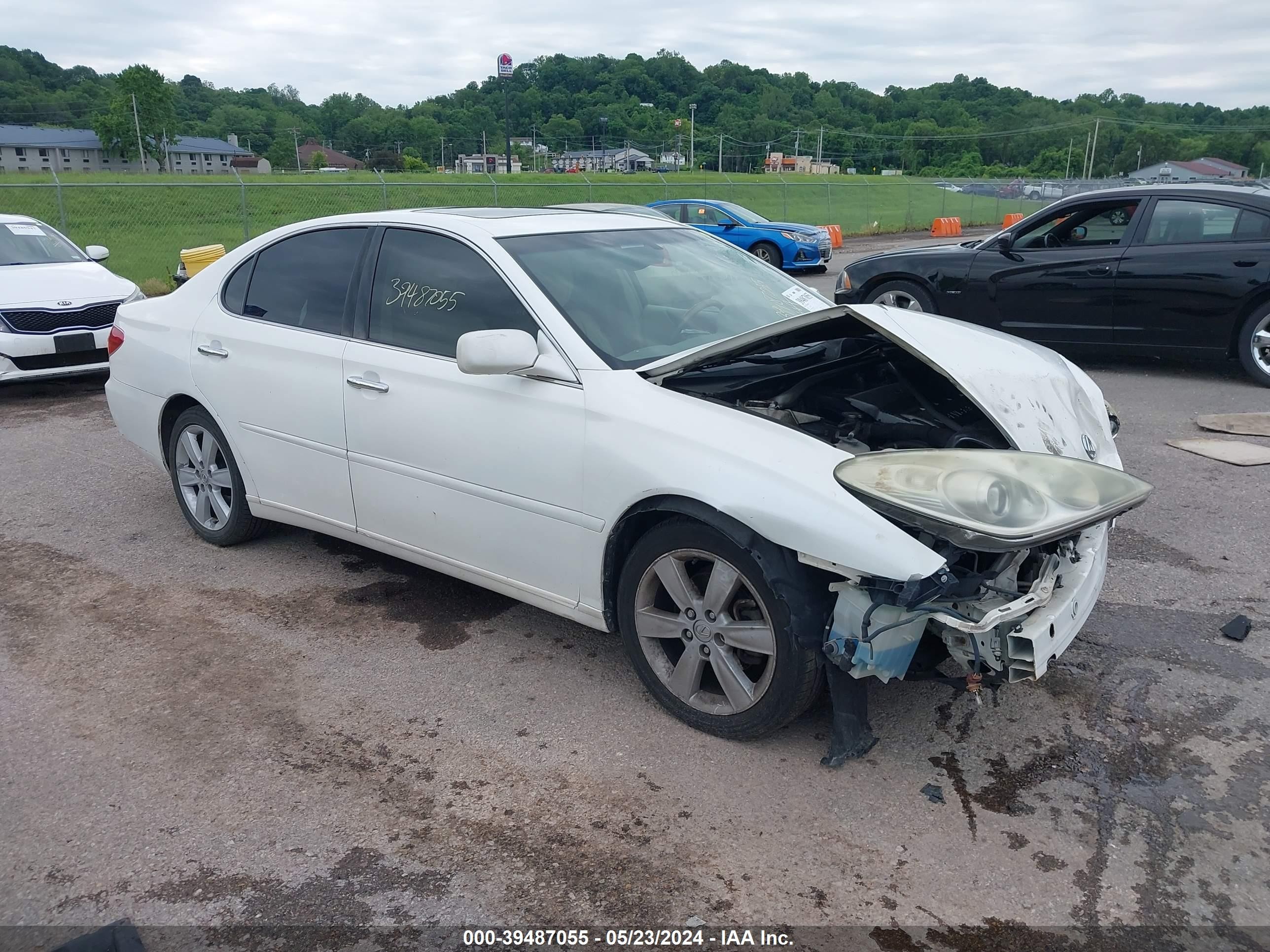 LEXUS ES 2005 jthba30g555114380