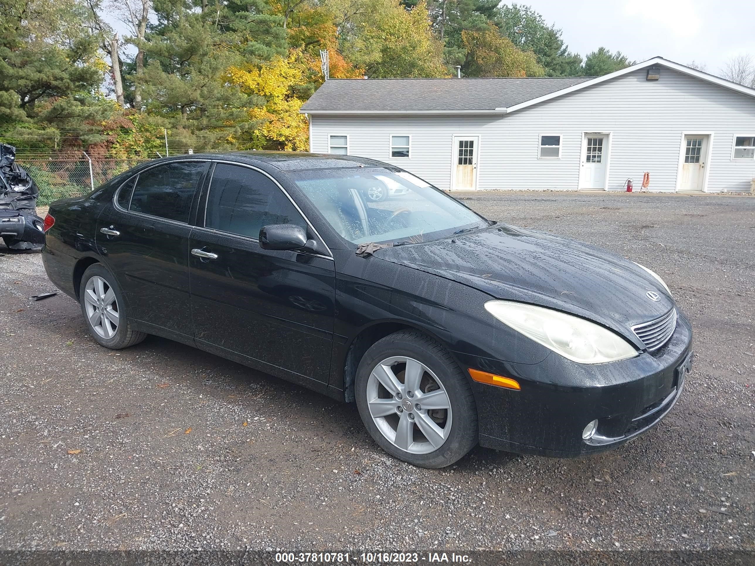 LEXUS ES 2005 jthba30g555116128