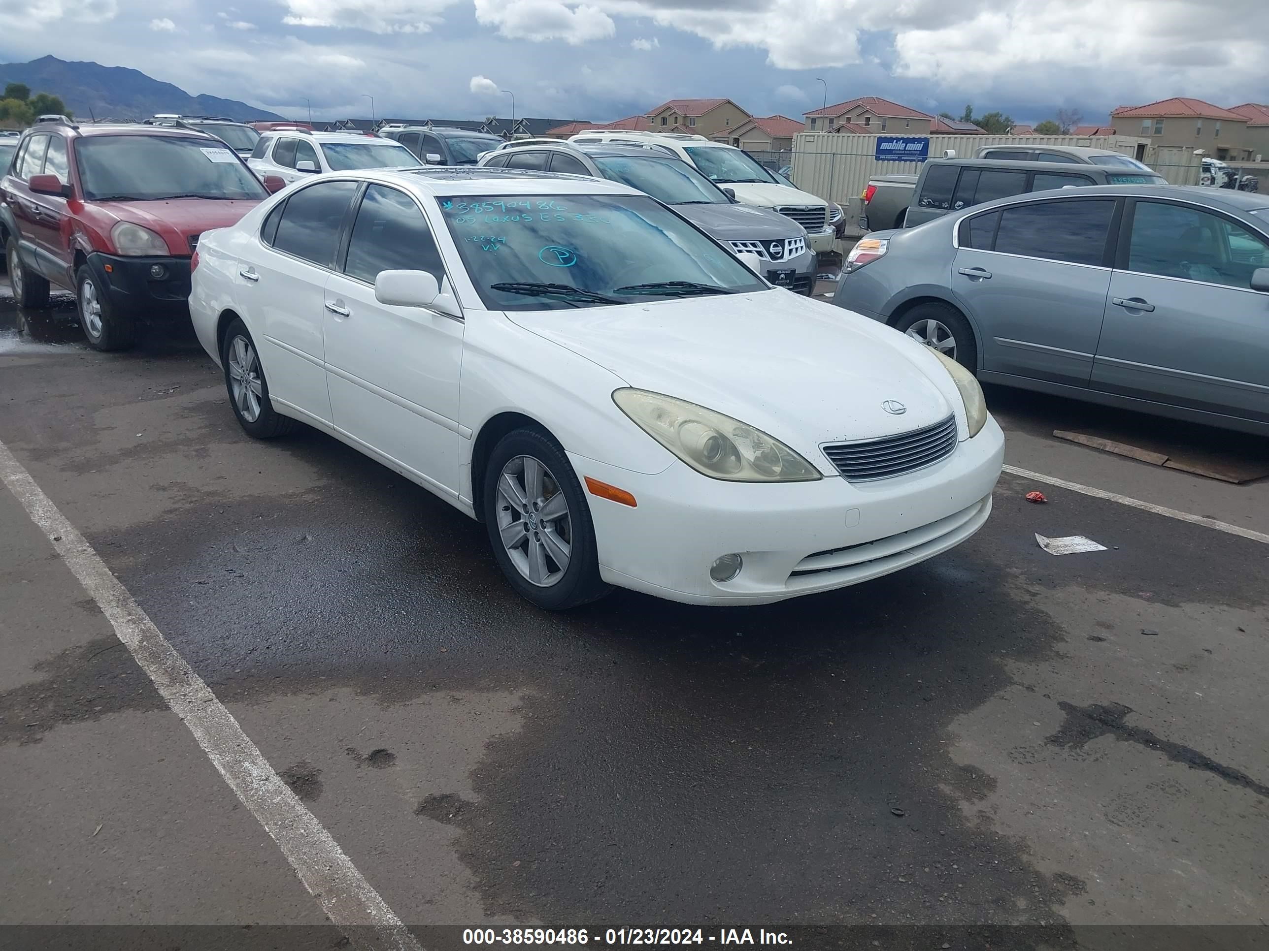 LEXUS ES 2005 jthba30g555119966