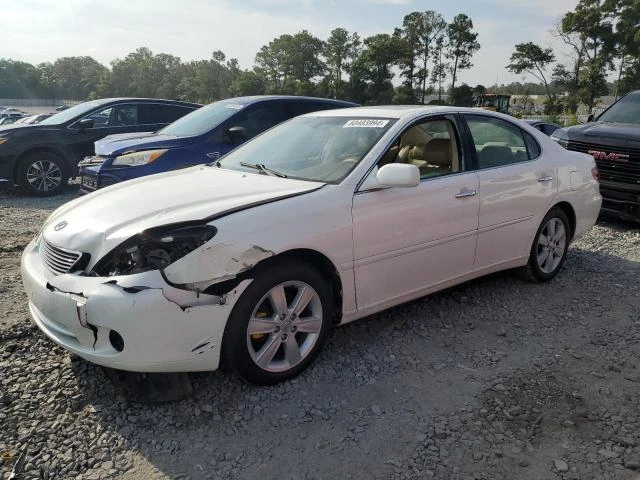 LEXUS ES 330 2005 jthba30g555120065