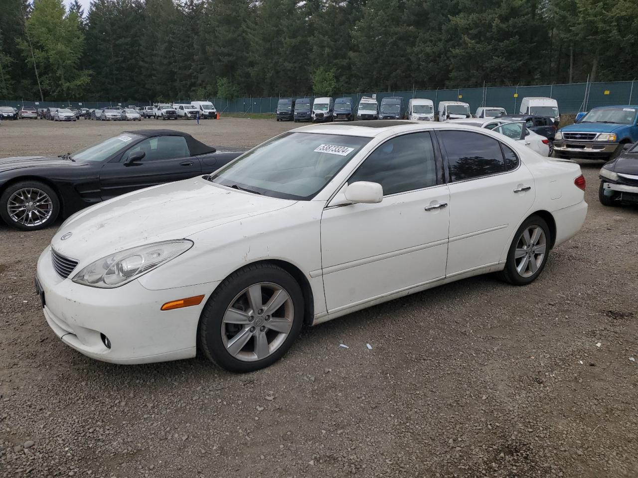 LEXUS ES 2005 jthba30g555122902