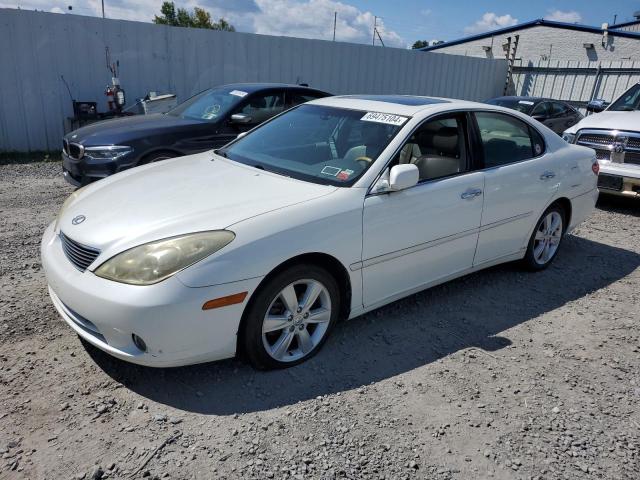 LEXUS ES 330 2005 jthba30g555138078