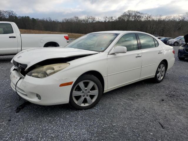 LEXUS ES330 2006 jthba30g565151995