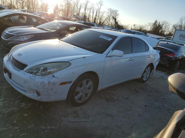 LEXUS ES 330 2006 jthba30g565168635