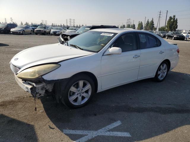 LEXUS ES 330 2006 jthba30g565169669