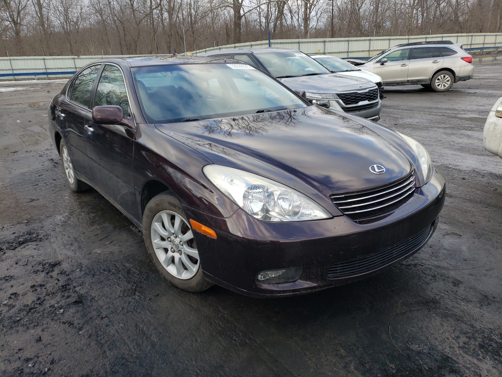 LEXUS ES 330 2004 jthba30g645055015