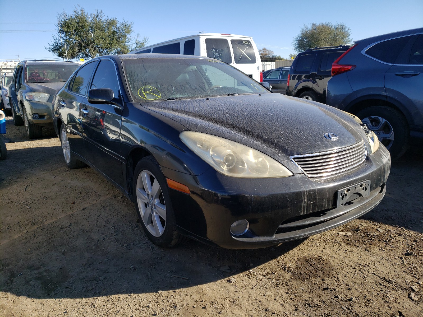 LEXUS ES 330 2005 jthba30g655070714