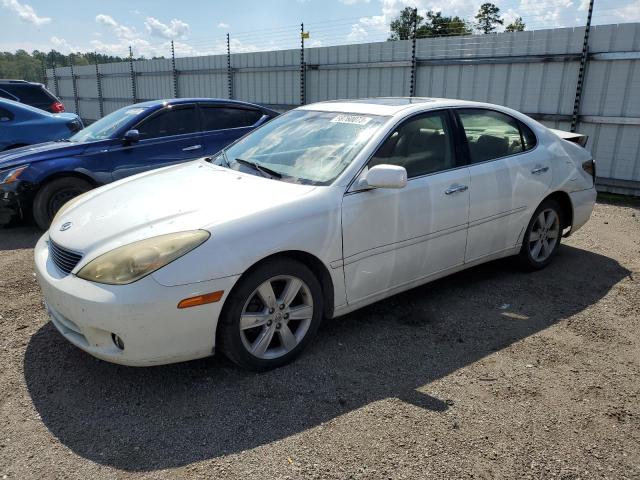 LEXUS ES 330 2005 jthba30g655078991