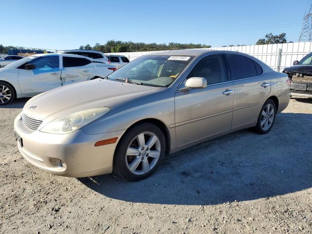 LEXUS ES330 2005 jthba30g655080014