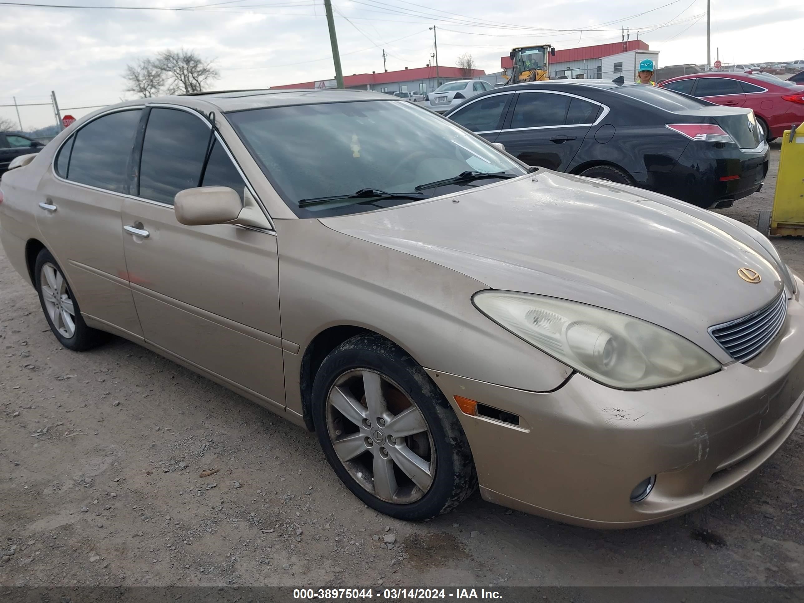 LEXUS ES 2005 jthba30g655085827