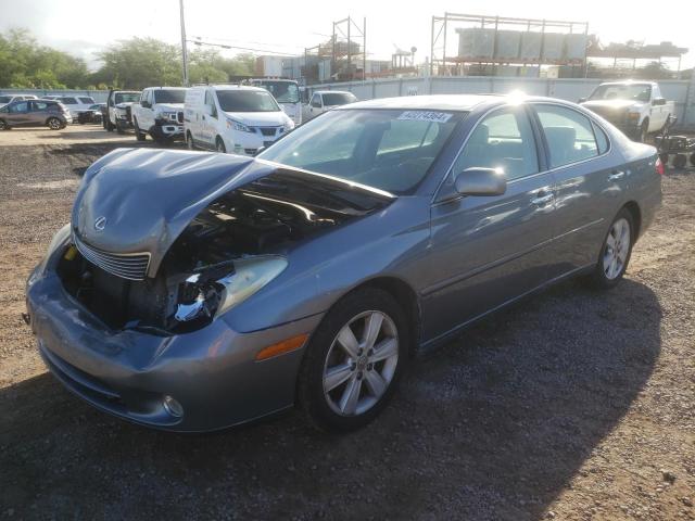 LEXUS ES330 2005 jthba30g655091031