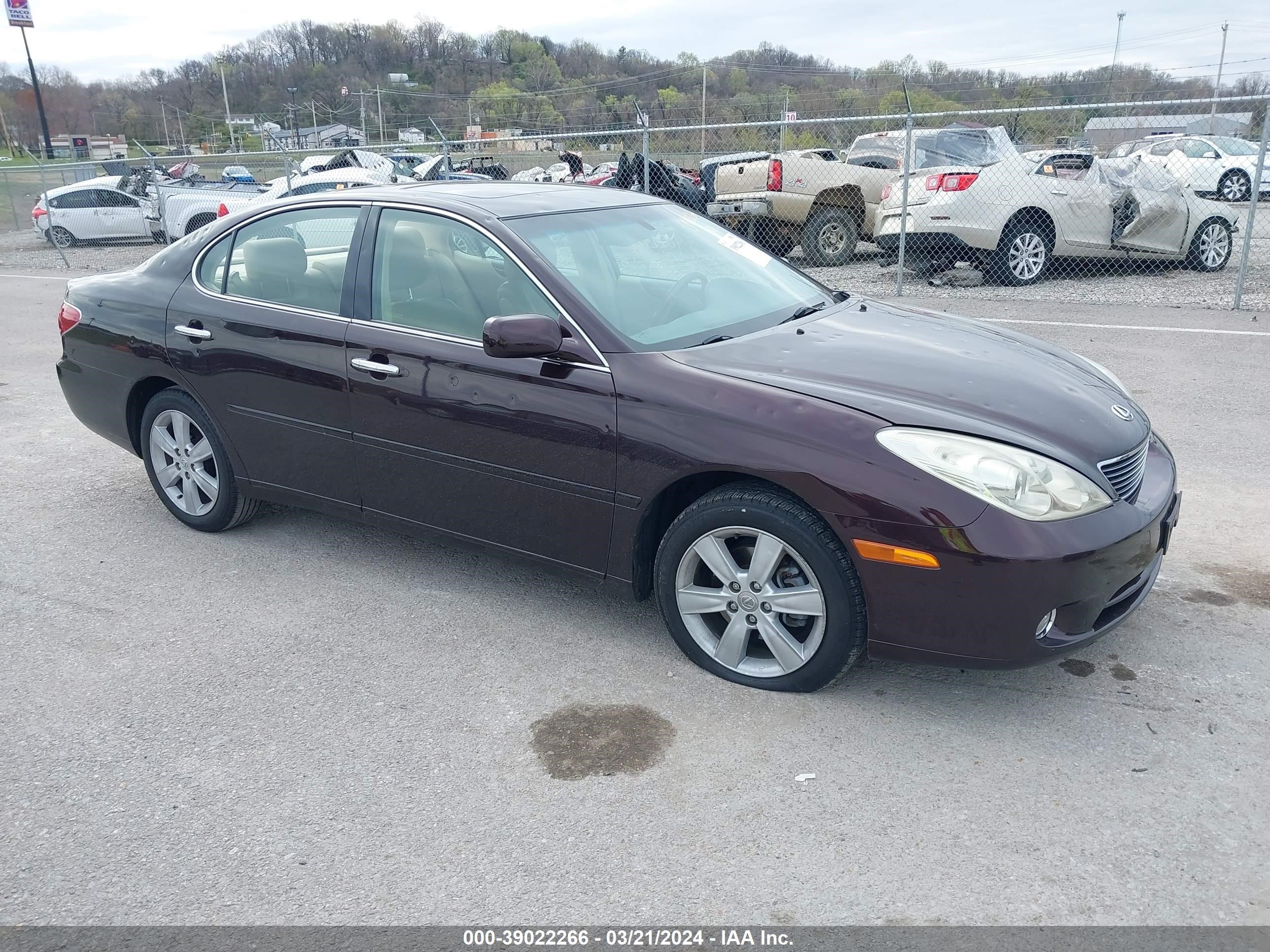 LEXUS ES 2005 jthba30g655103274