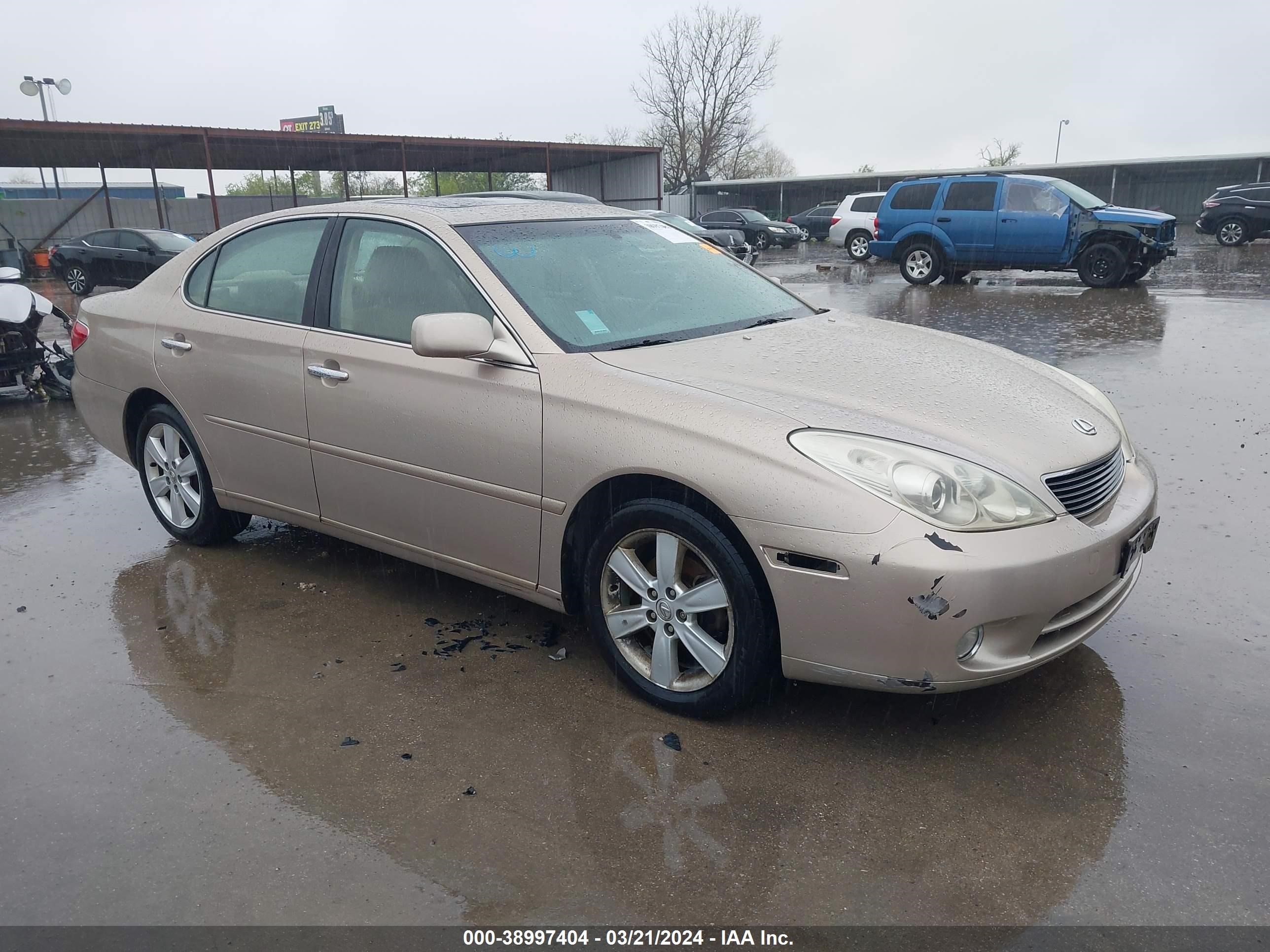 LEXUS ES 2005 jthba30g655119569