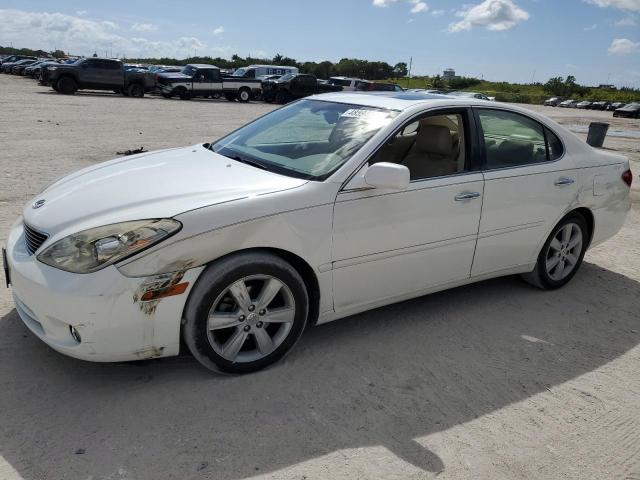 LEXUS ES330 2005 jthba30g655124979