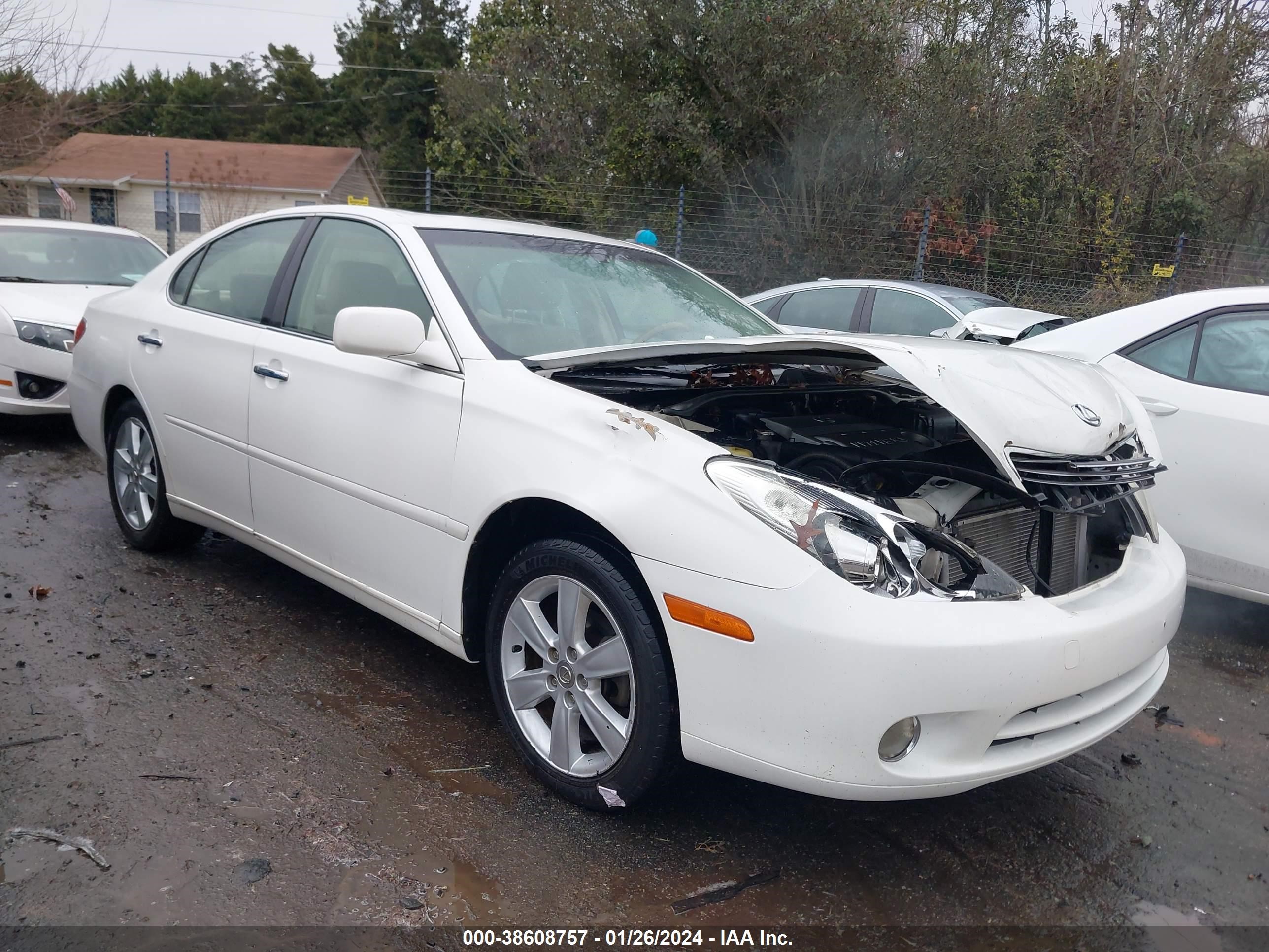 LEXUS ES 2005 jthba30g655131883