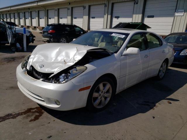 LEXUS ES330 2005 jthba30g655134833