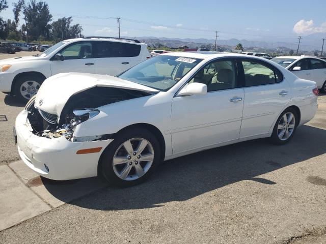 LEXUS ES 330 2006 jthba30g665170412