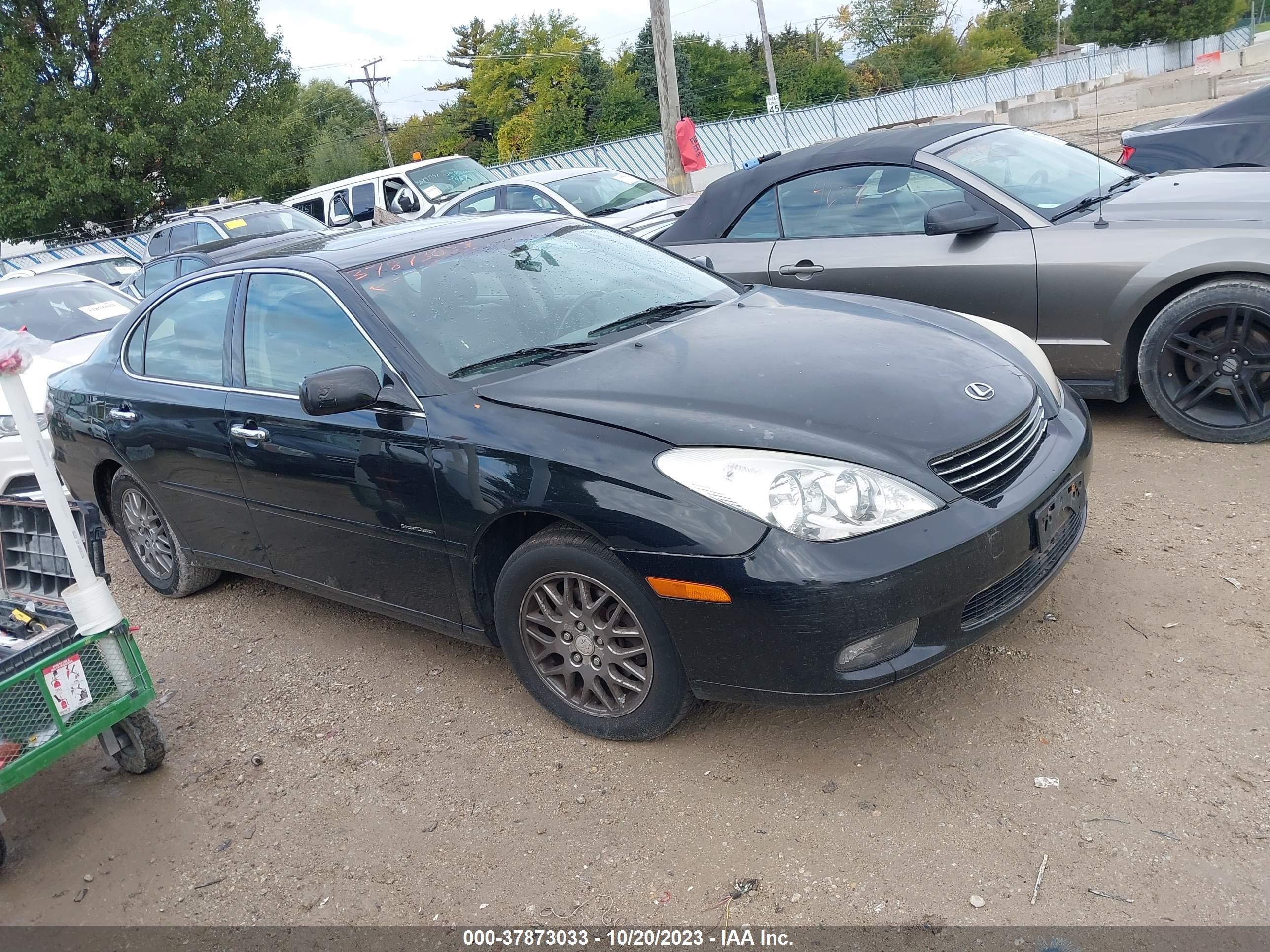 LEXUS ES 2004 jthba30g745048171