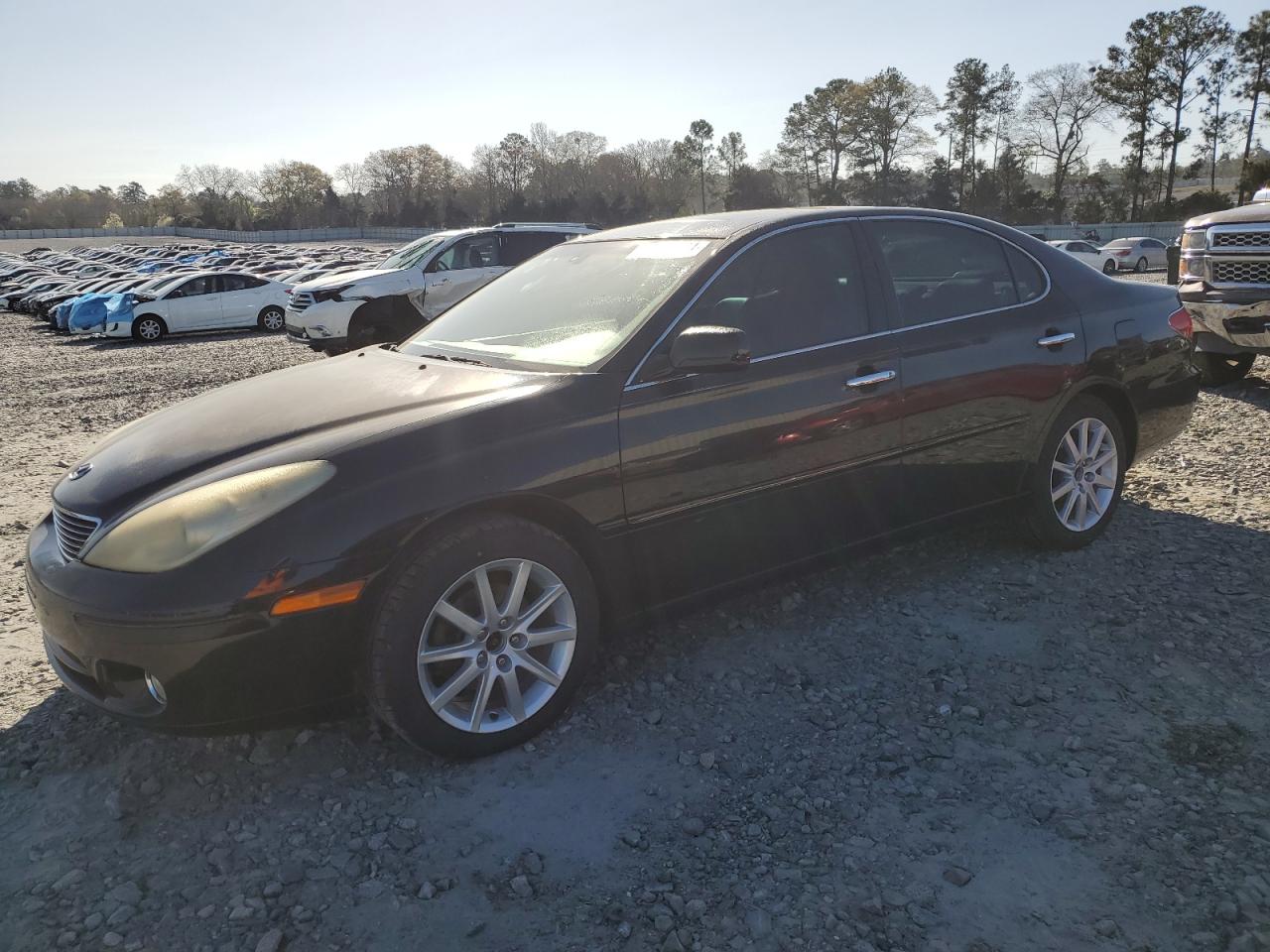 LEXUS ES 2005 jthba30g755066025