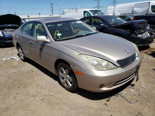 LEXUS ES 330 2005 jthba30g755073704