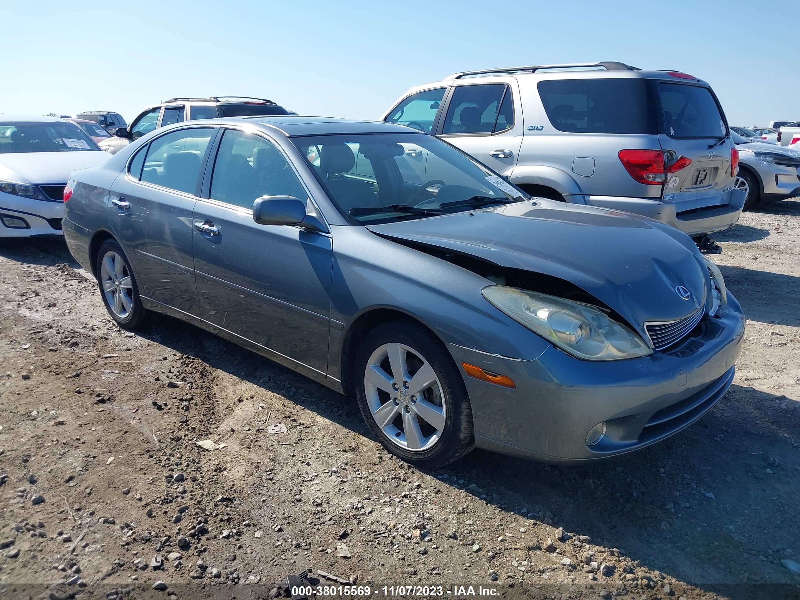 LEXUS ES 330 2005 jthba30g755080071